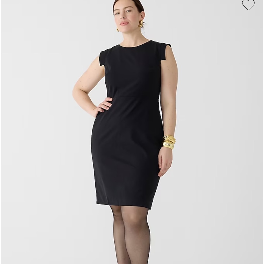 JCrew “resume” dress